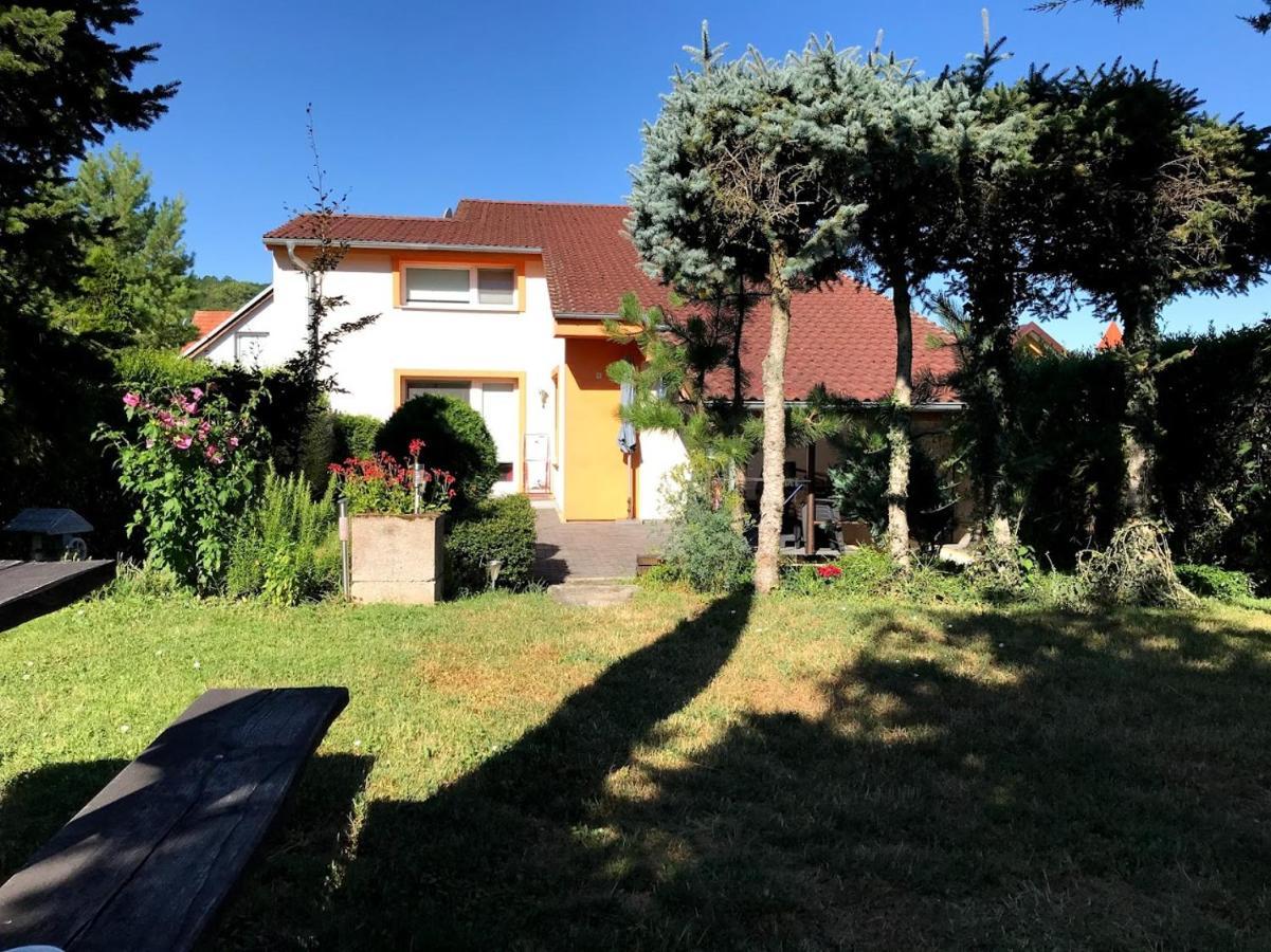 Banka Apartman Marta מראה חיצוני תמונה